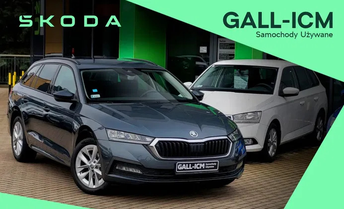 darłowo Skoda Octavia cena 88999 przebieg: 95745, rok produkcji 2020 z Darłowo